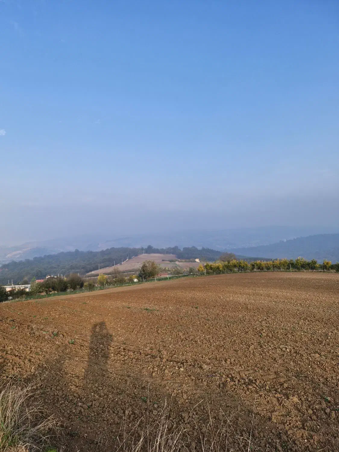 زمین ۱۰۰۰متری دوتا پلاک ویو ۳۶۰درجه|فروش زمین و ملک کلنگی|نکا, |دیوار