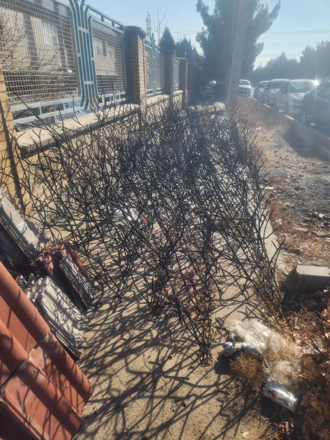 حفاظ روی دیوار مدل شاخ گوزنی|مصالح و تجهیزات ساختمان|مشهد, شهرک صنعتی توس|دیوار