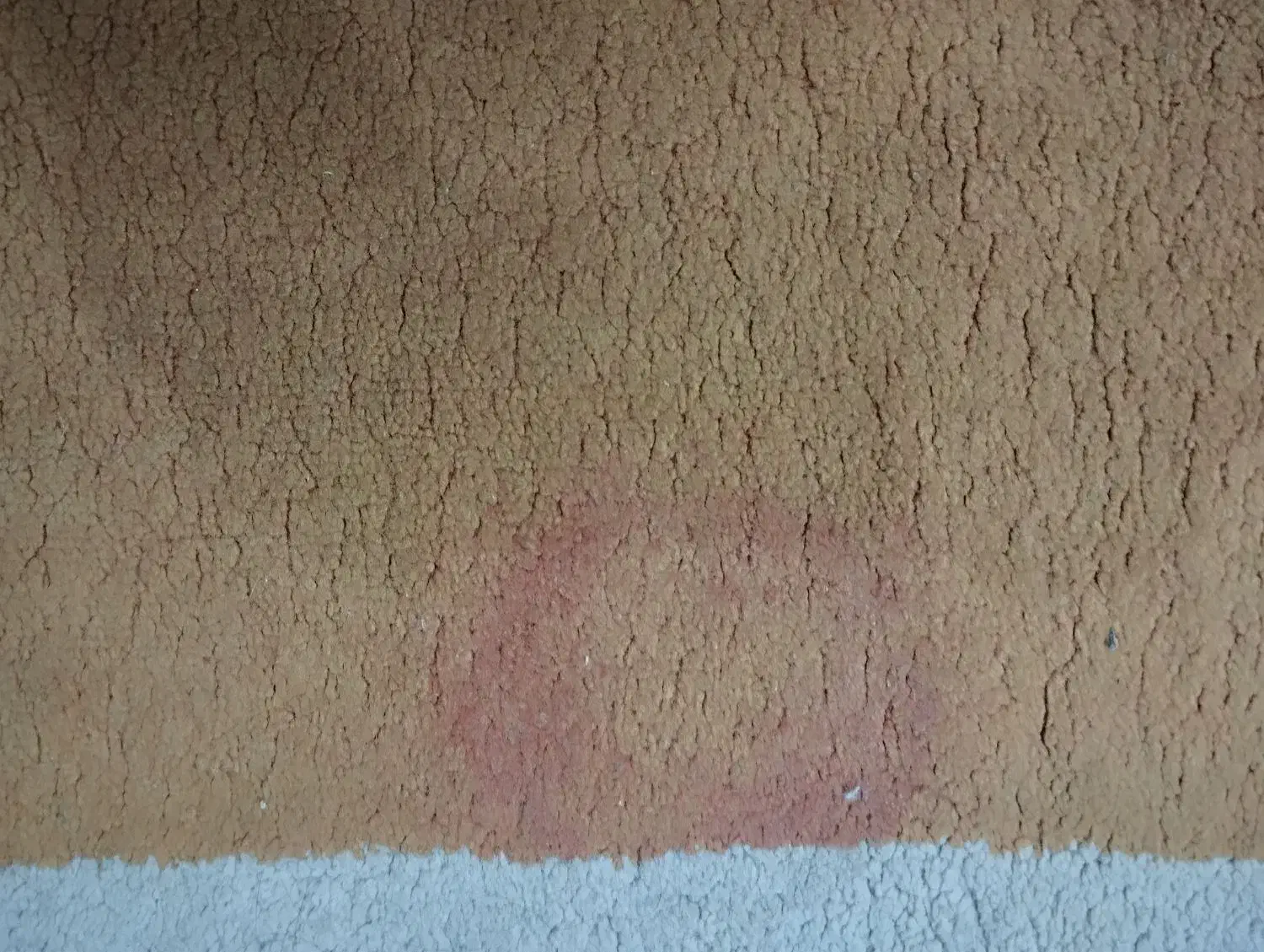 فرش3*2|فرش|نیشابور, شهرک فیروزه|دیوار