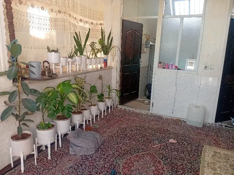 خانه اجاره همکف|اجارهٔ خانه و ویلا|رفسنجان, |دیوار