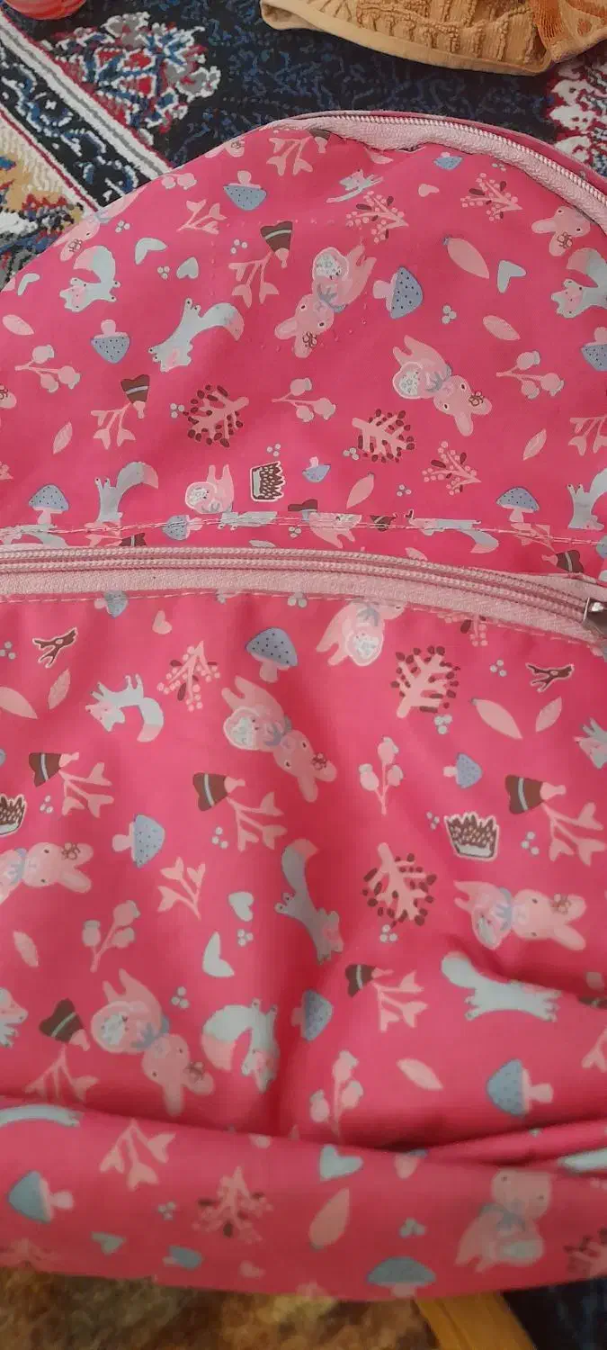 کیف مدرسه ای|کیف، کفش، کمربند|بیرجند, |دیوار