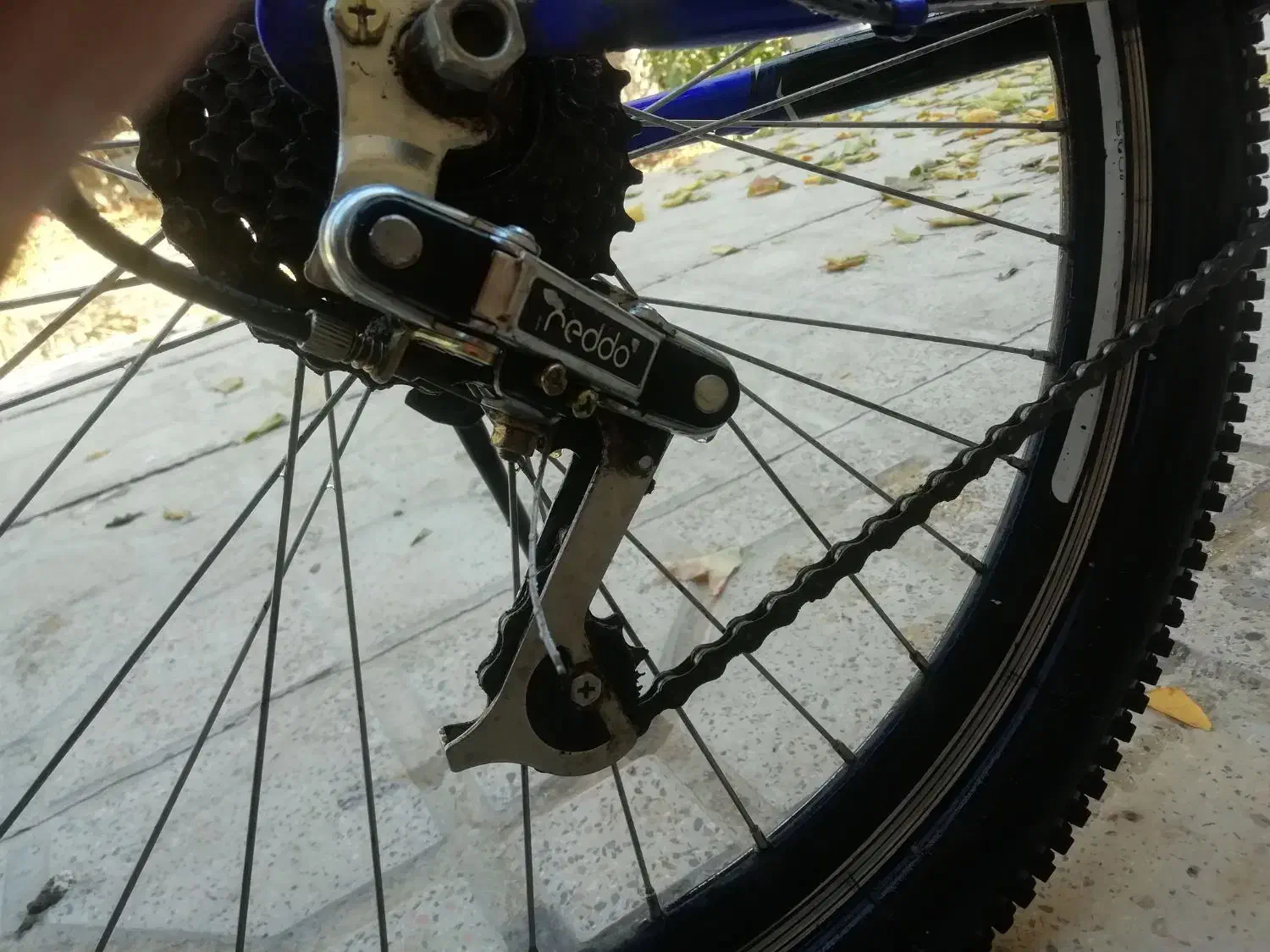 دوچرخه 24 المپیا|دوچرخه، اسکیت، اسکوتر|صائین قلعه, |دیوار