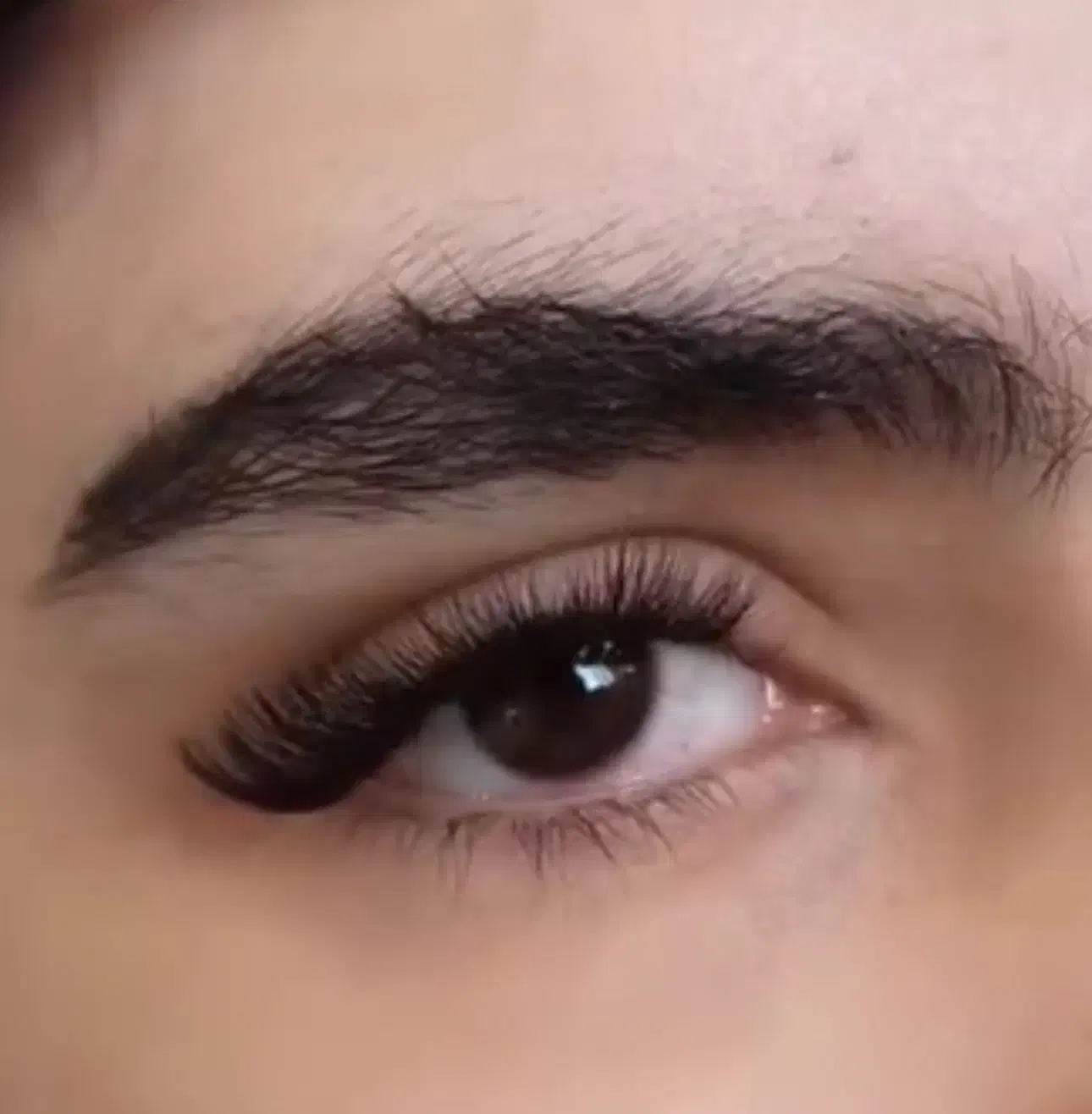 مژه کار|خدمات آرایشگری و زیبایی|هشتگرد, شهرک ولیعصر (مصلی)|دیوار