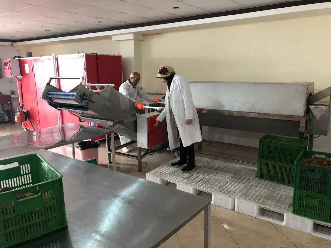 اجاره کارخانه تولید چیس میوه وسبزی و فرنچ فرایزر|اجارهٔ دفتر صنعتی، کشاورزی، تجاری|نوشهر, |دیوار