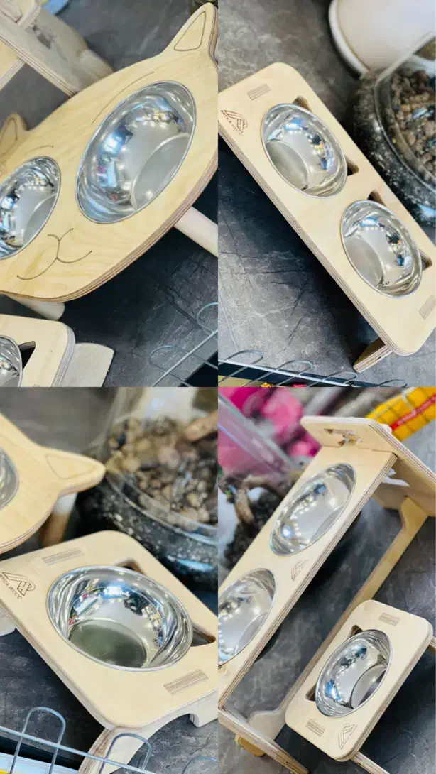 ظرف اب غذا چوبی استیل سرامیکی|لوازم جانبی حیوانات|مشهد, گلبرگ|دیوار