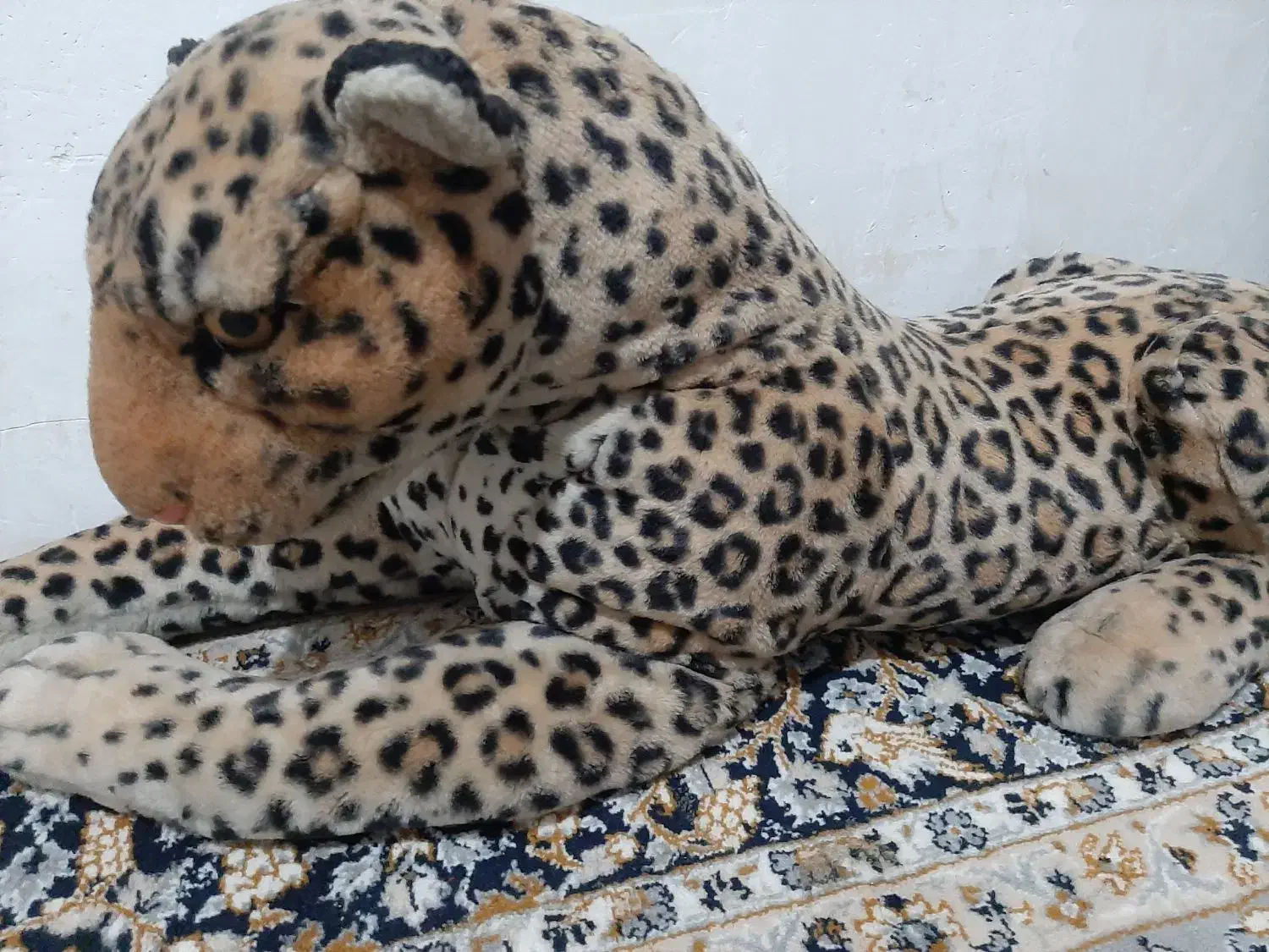 عروسک|اسباب‌بازی بچه|اهواز, کوروش|دیوار