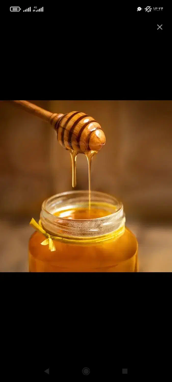 عسل طبیعی گشنیز|عمده‌فروشی|کرج, عظیمیه|دیوار