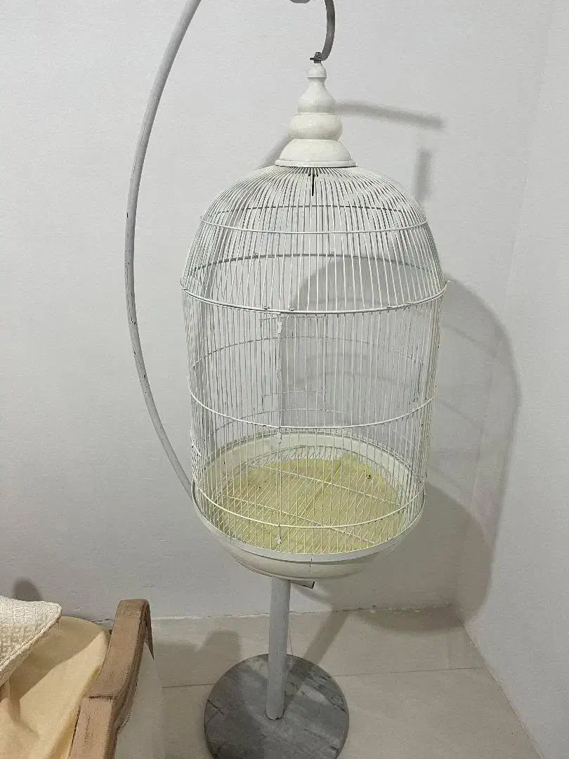 قفس عروس هلندی|لوازم جانبی حیوانات|هشتگرد, شهرک بعثت|دیوار