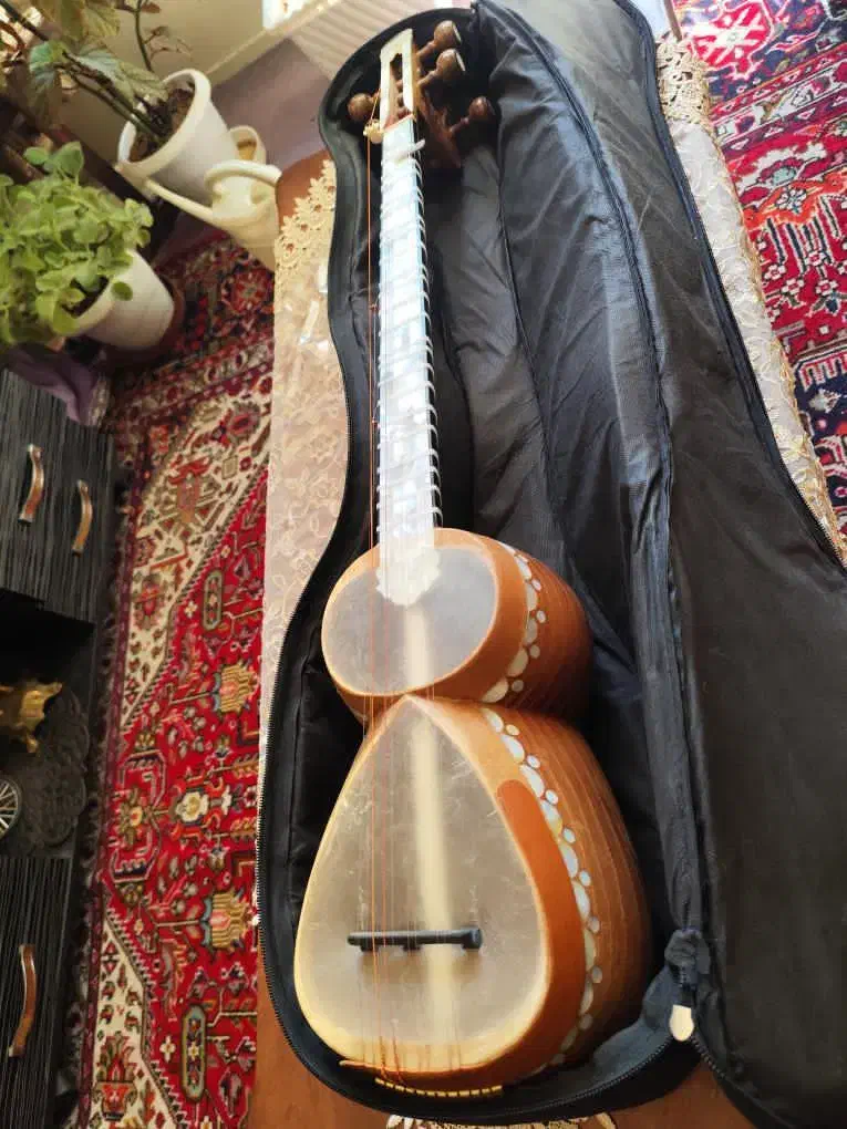 تار صدف آذربایجانی|سازهای سنتی|تبریز, |دیوار