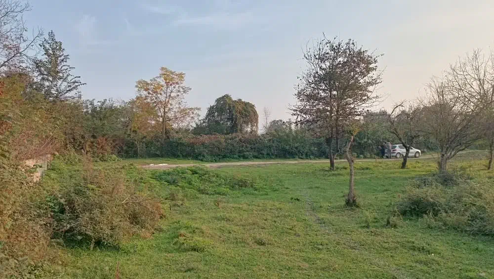 زمین ۷۰۵ متری درگیلان|فروش زمین و ملک کلنگی|ماکلوان, |دیوار