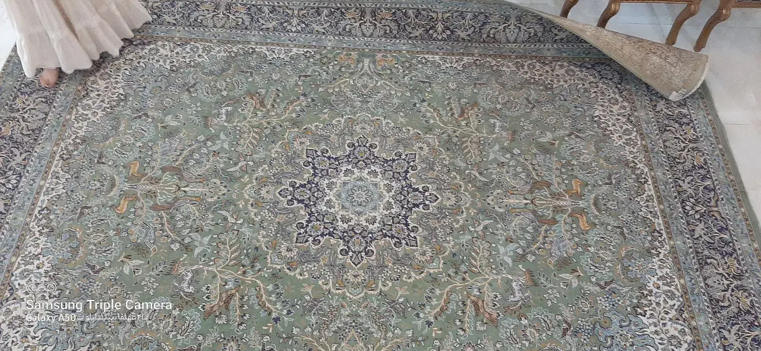 فرش ماشینی|فرش|نوشهر, |دیوار