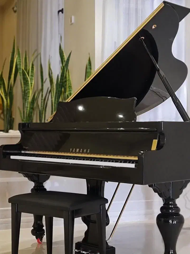 کابین پیانو  رنگ بندی های گلس درجه یک|پیانو، کیبورد، آکاردئون|مشهد, آزادشهر|دیوار