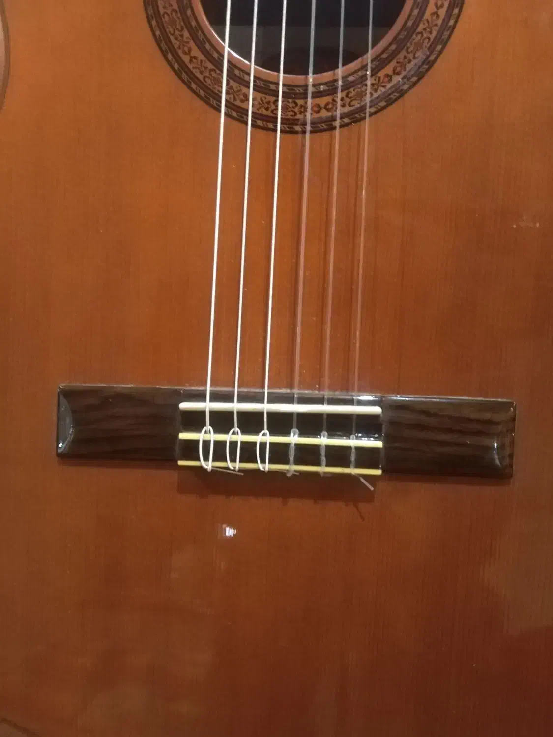 گیتار کلاسیک بلژیکی استگ C548|گیتار، بیس، امپلیفایر|تهران, شهرک دریا|دیوار