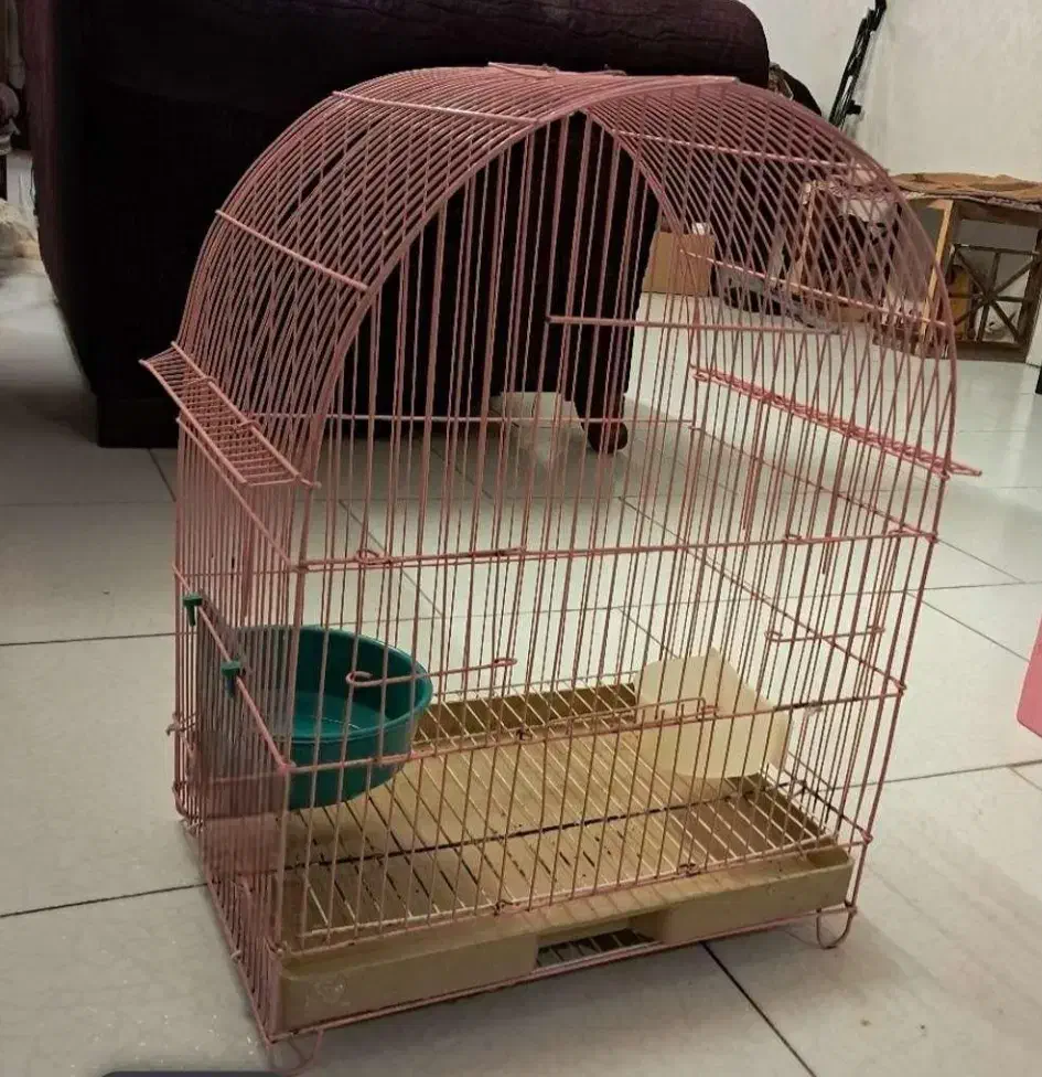 ۲ عدد قفس پرنده زینتی ب|لوازم جانبی حیوانات|آمل, |دیوار