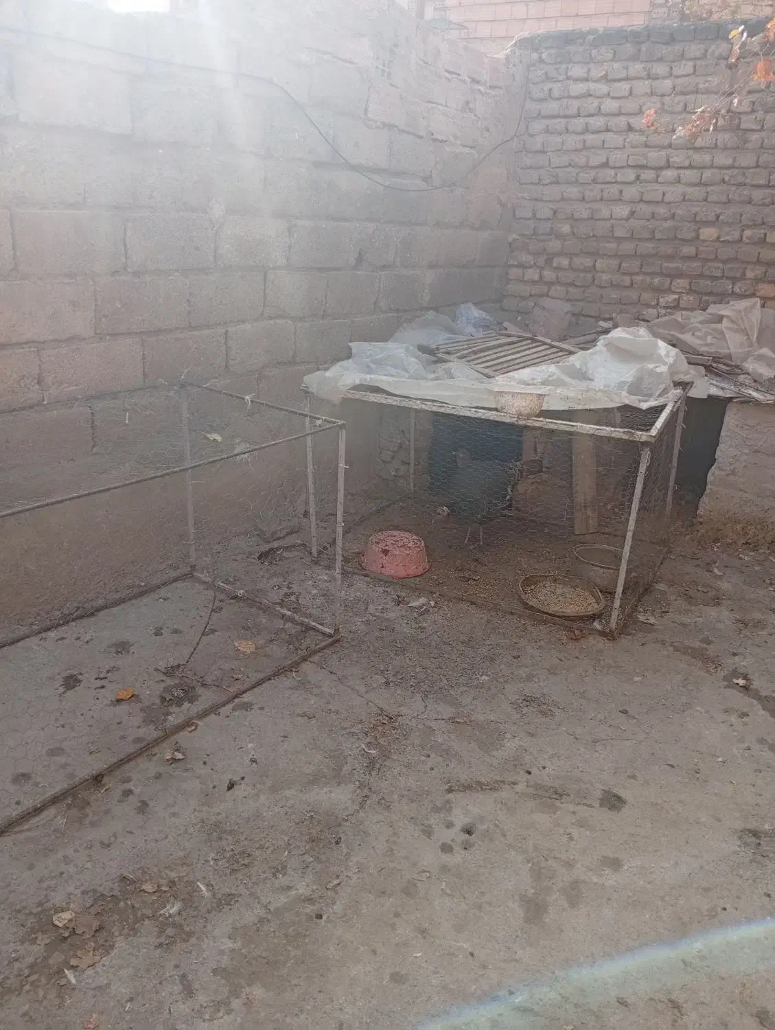 فروش قفس|لوازم جانبی حیوانات|خوی, |دیوار