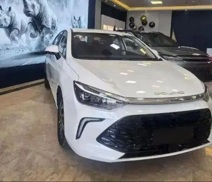 بیجینگ یو فایو پلاس/۱۴۰۴|خودرو سواری و وانت|تهران, صادقیه|دیوار