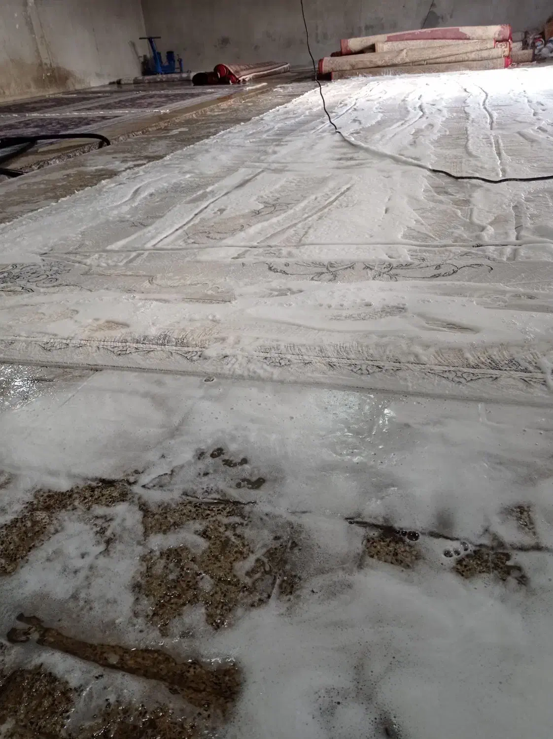 قالیشویی تک|دفتر کار|بزینه رود, |دیوار