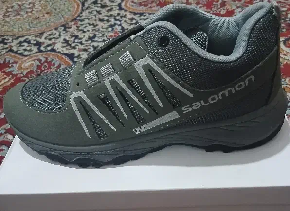 دو عدد کفش|کیف، کفش، کمربند|شیراز, گویم|دیوار