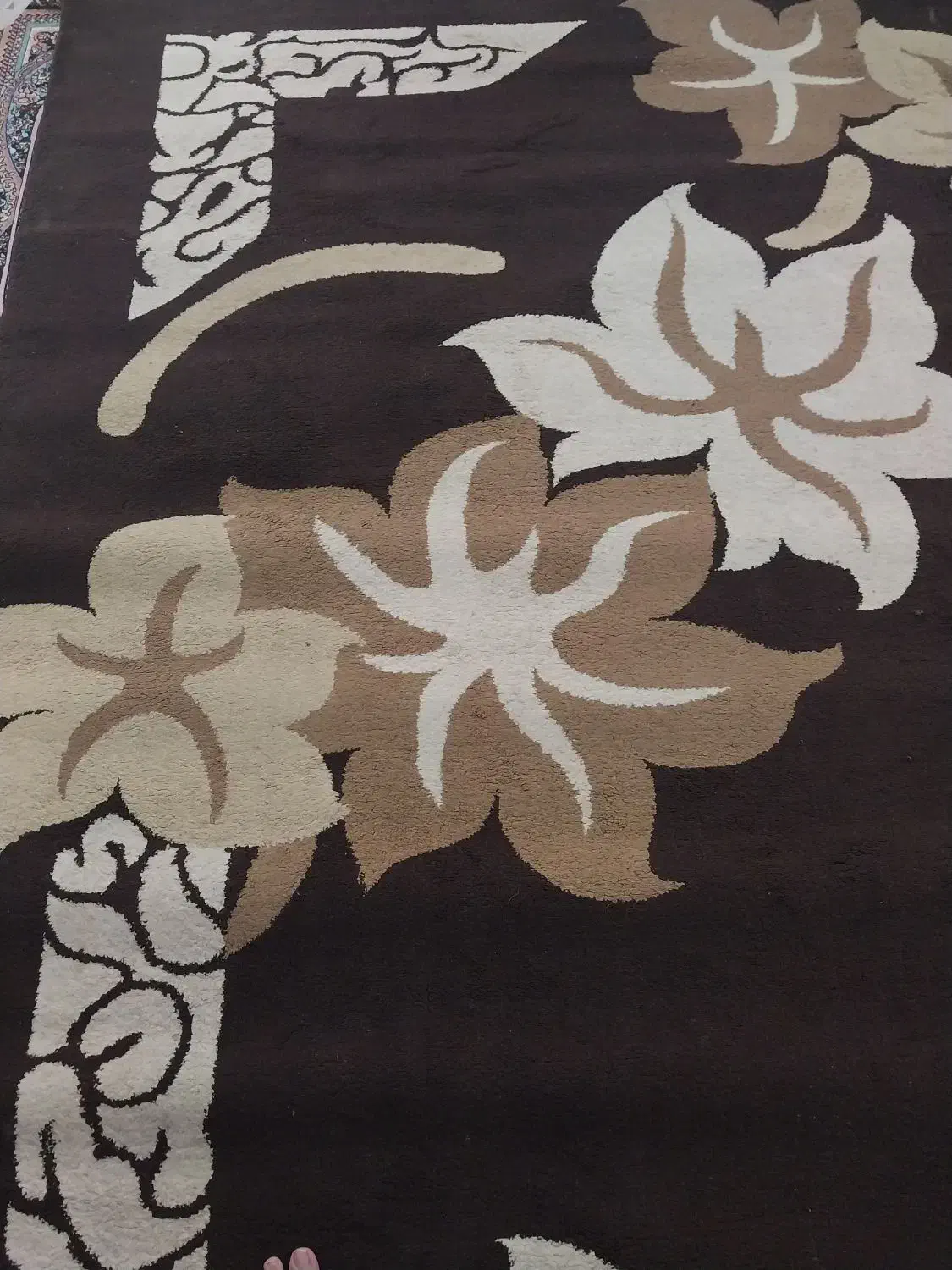 ۲ عدد گلیم فرش|گلیم، جاجیم، گبه|خرمشهر, |دیوار