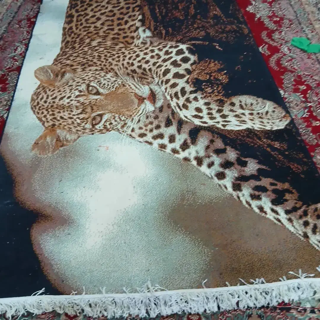 قالی ۹متری|فرش|چمران, |دیوار