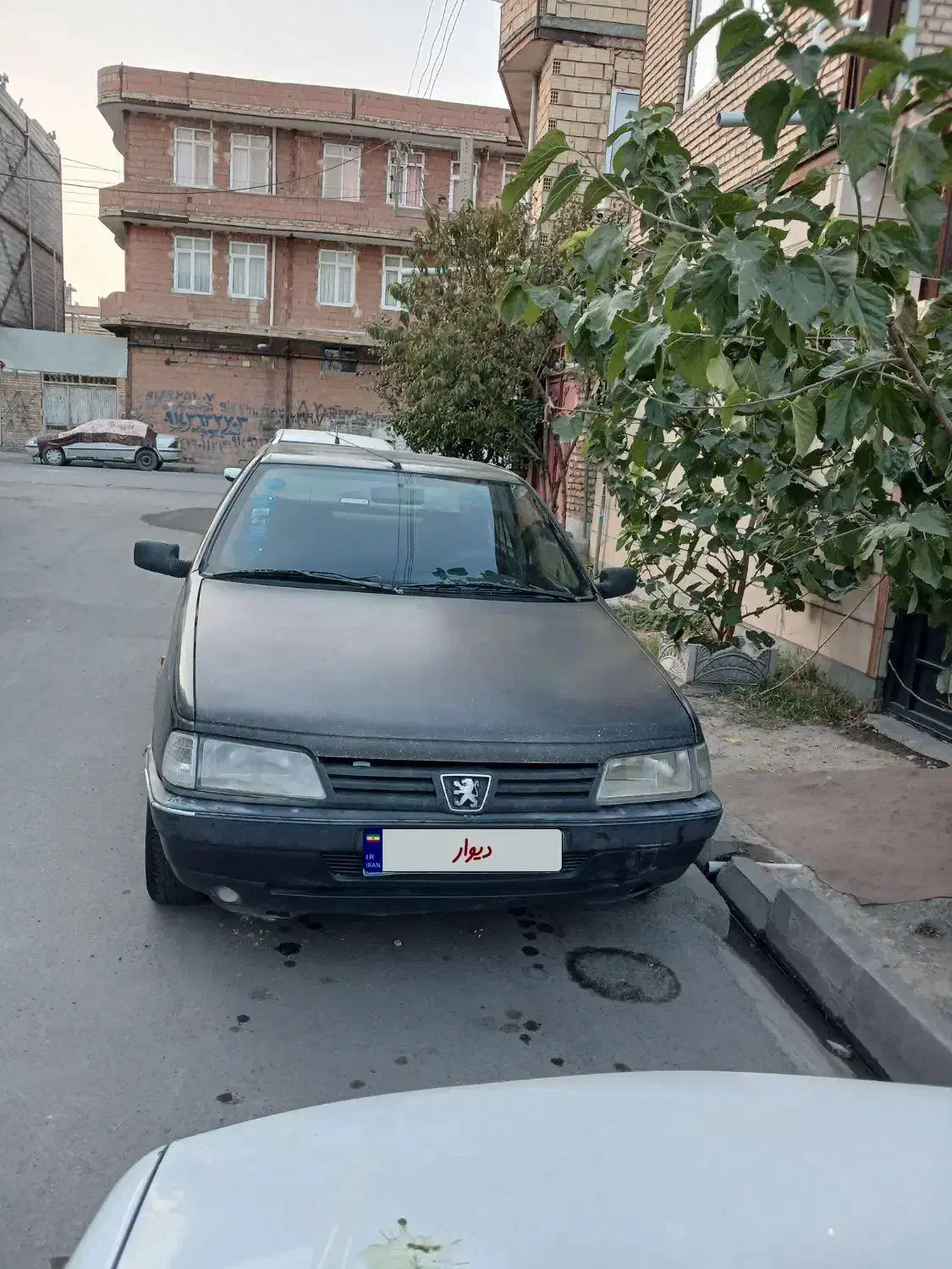 پژو روا دوگانه کارخانه|خودرو سواری و وانت|خوی, |دیوار