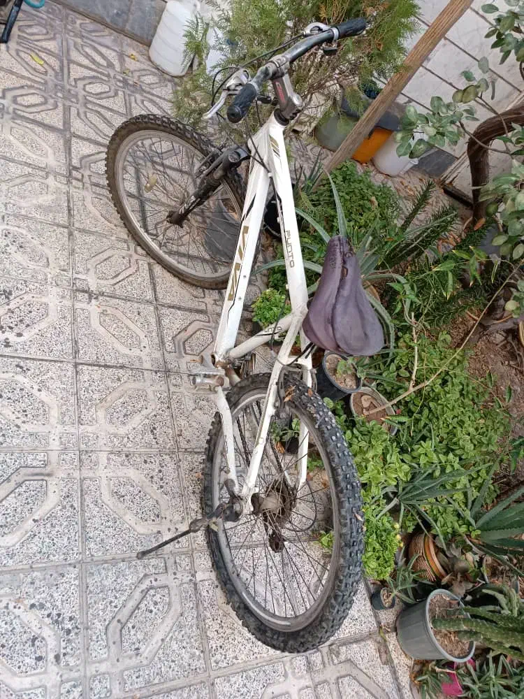 دوچرخه سایز ۲۶ VIVA|دوچرخه، اسکیت، اسکوتر|ماهدشت, |دیوار