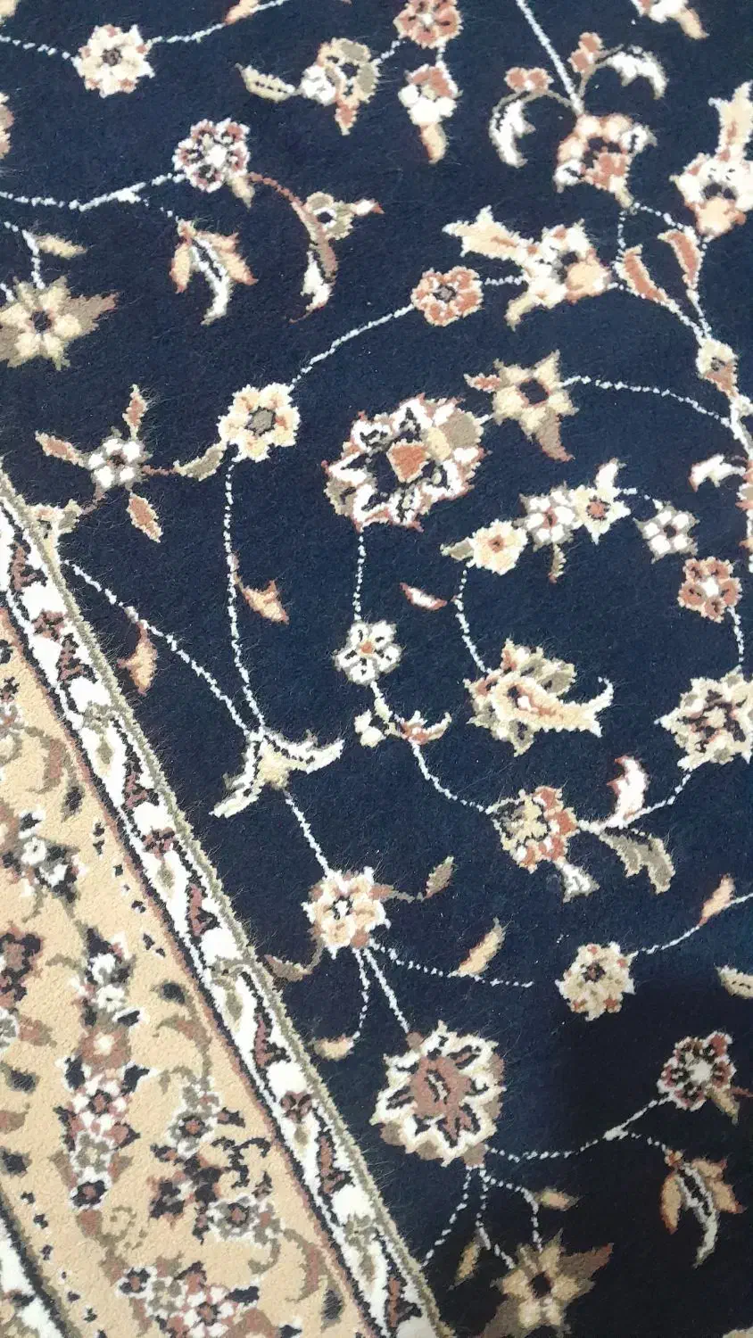 کناره قالینی سالم|فرش|تربت جام, معدآباد|دیوار