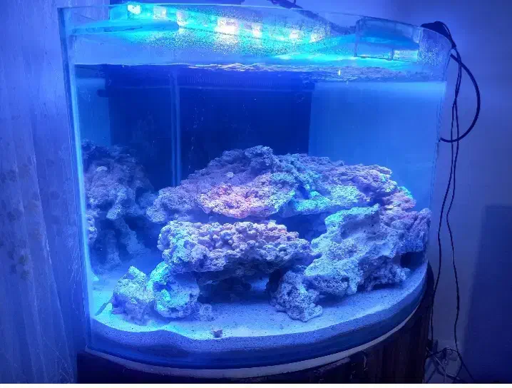 اکواریوم تمام مجهز|ماهی|مشهد, بهمن|دیوار