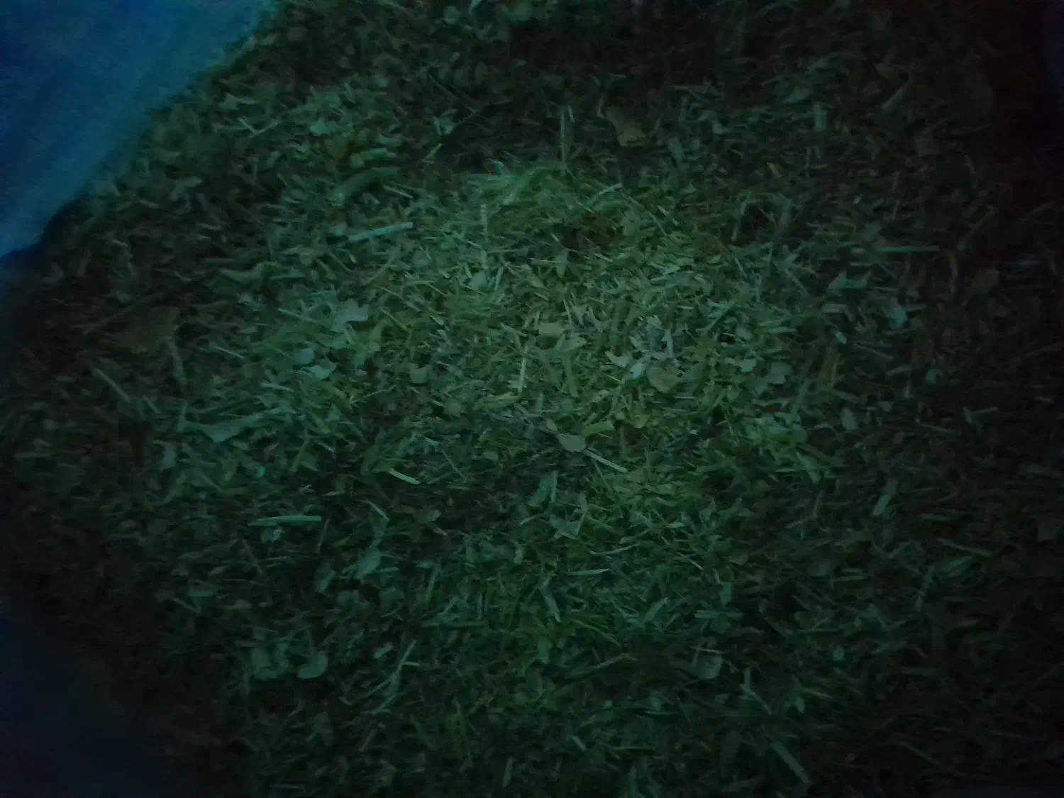 کاه لوبیاچیتی|لوازم جانبی حیوانات|لاران, |دیوار