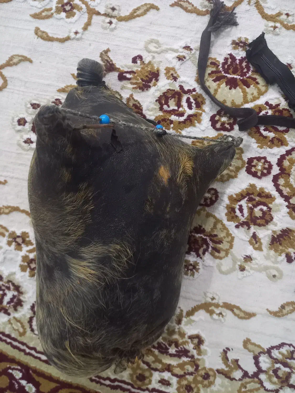 هیزه|ظروف نگهدارنده، پلاستیکی، یکبارمصرف|ایلام, |دیوار