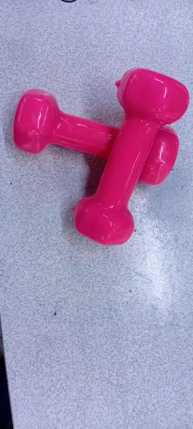 دمبل|تجهیزات ورزشی|تهران, بهمن یار|دیوار