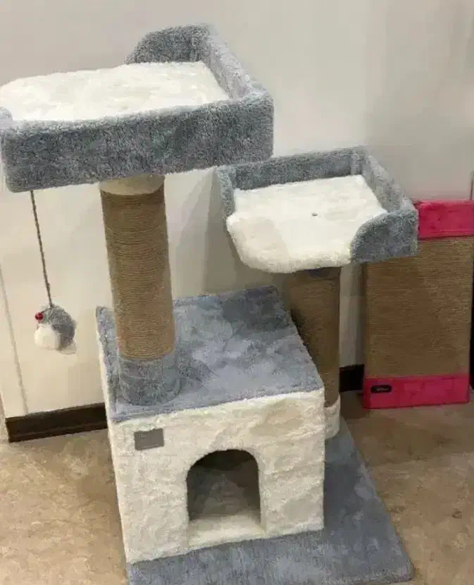 اسکرچر.گربه|لوازم جانبی حیوانات|مشهد, یوسفیه (شهرک غرب)|دیوار