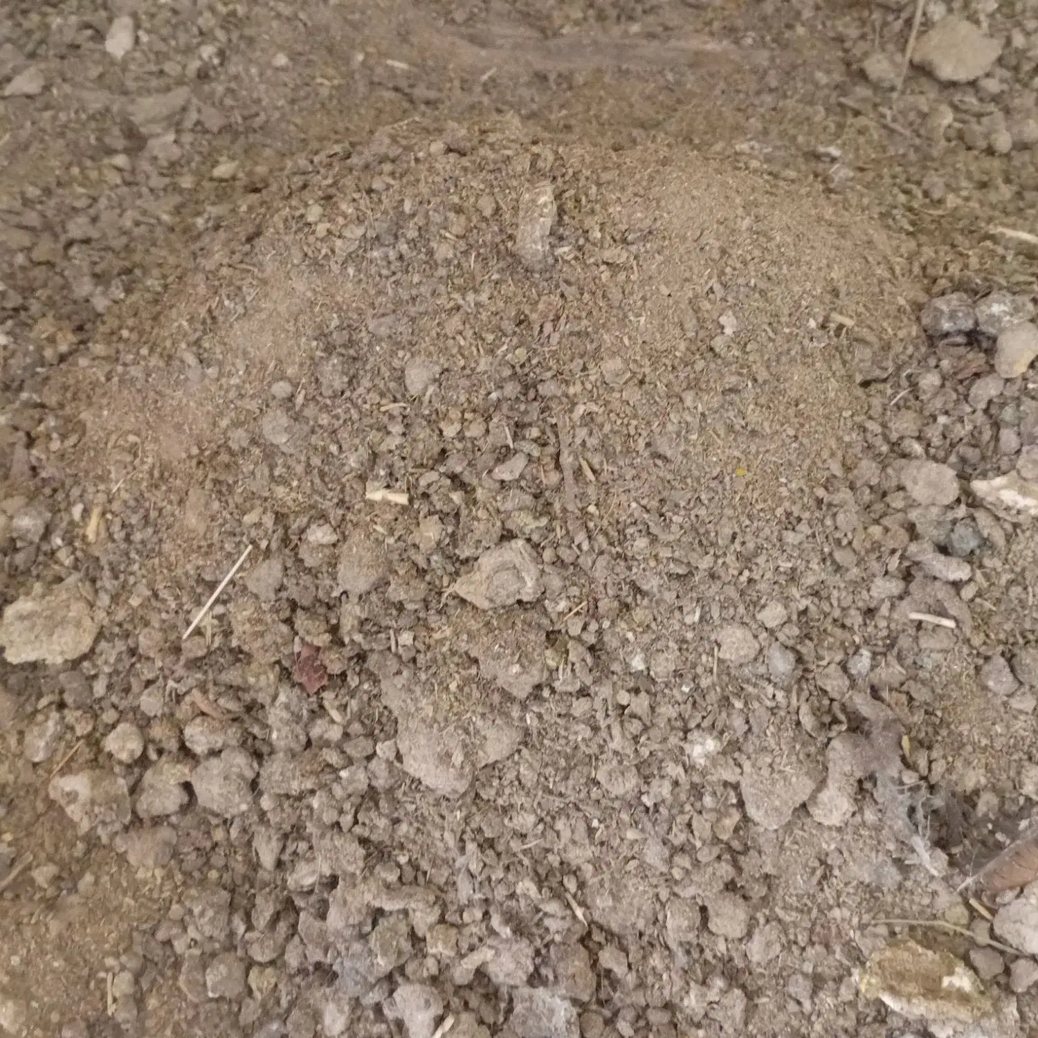 کود|گل و گیاه طبیعی|ساوه, |دیوار