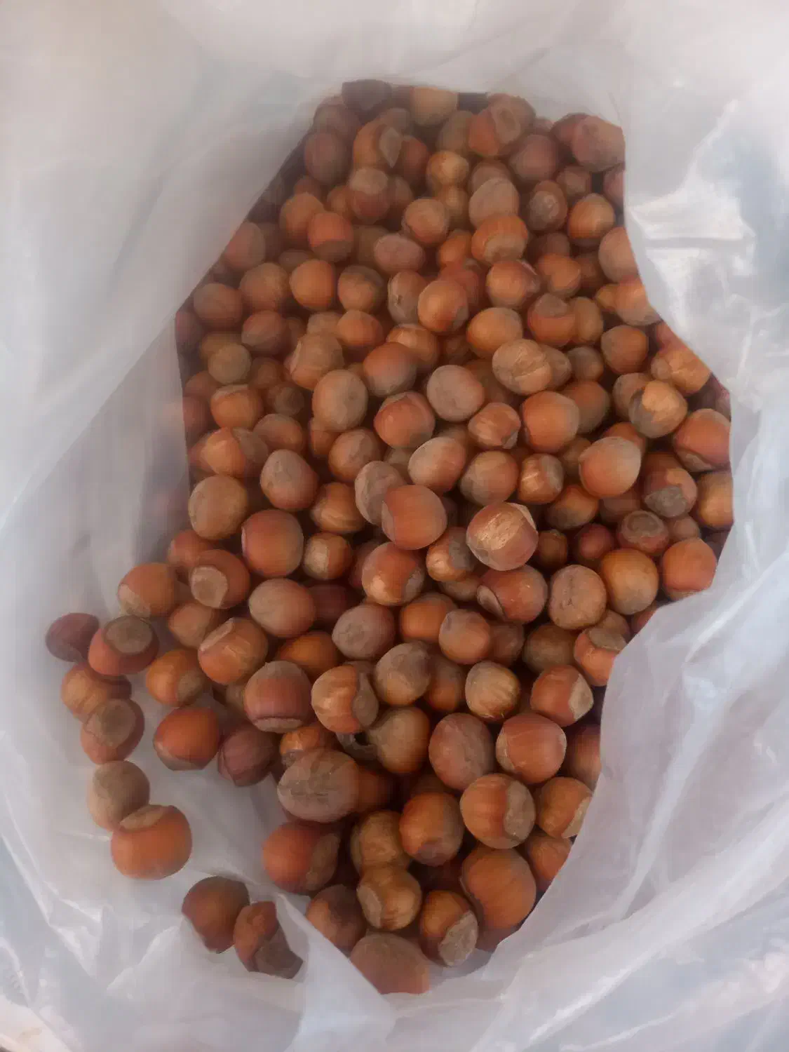 فندوق تازه برای اشکور|خوردنی و آشامیدنی|محمدیه-قزوین, |دیوار