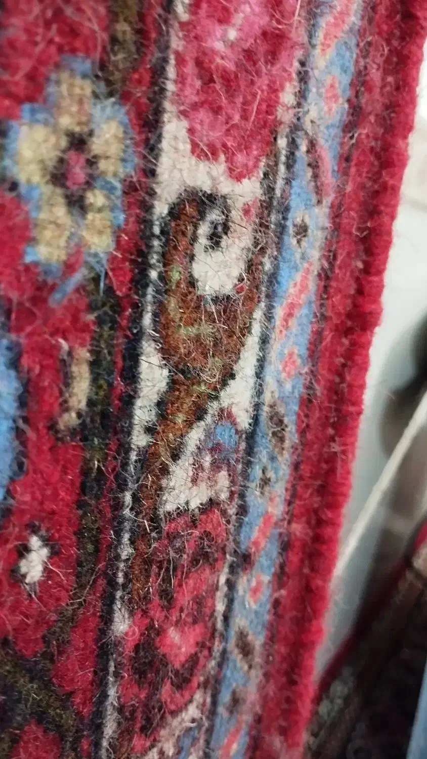 فرش دست بافت کلاه فرهنگ ۶متری|فرش|سنندج, |دیوار