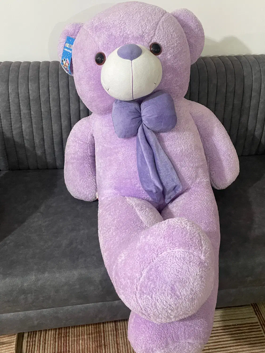 خرس۱و۲۰سانت|اسباب‌‌بازی|شیروان (خراسان), |دیوار