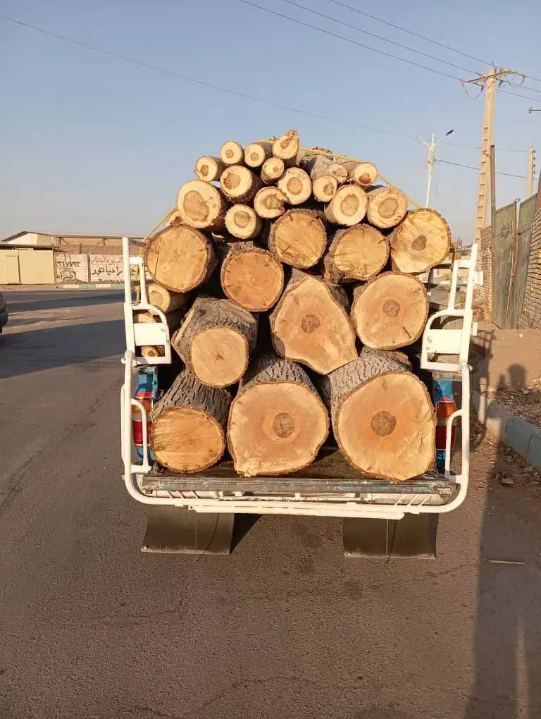 خرید انواع چوب باغی با قیمت مناسب|خدمات باغبانی و درختکاری|بافت, |دیوار