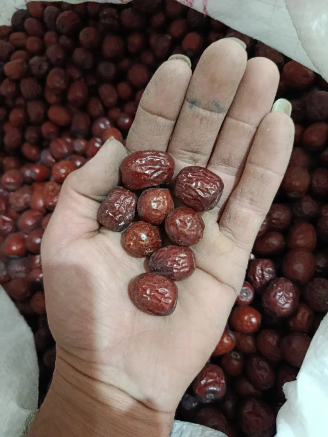 عناب|خوردنی و آشامیدنی|بیرجند, |دیوار
