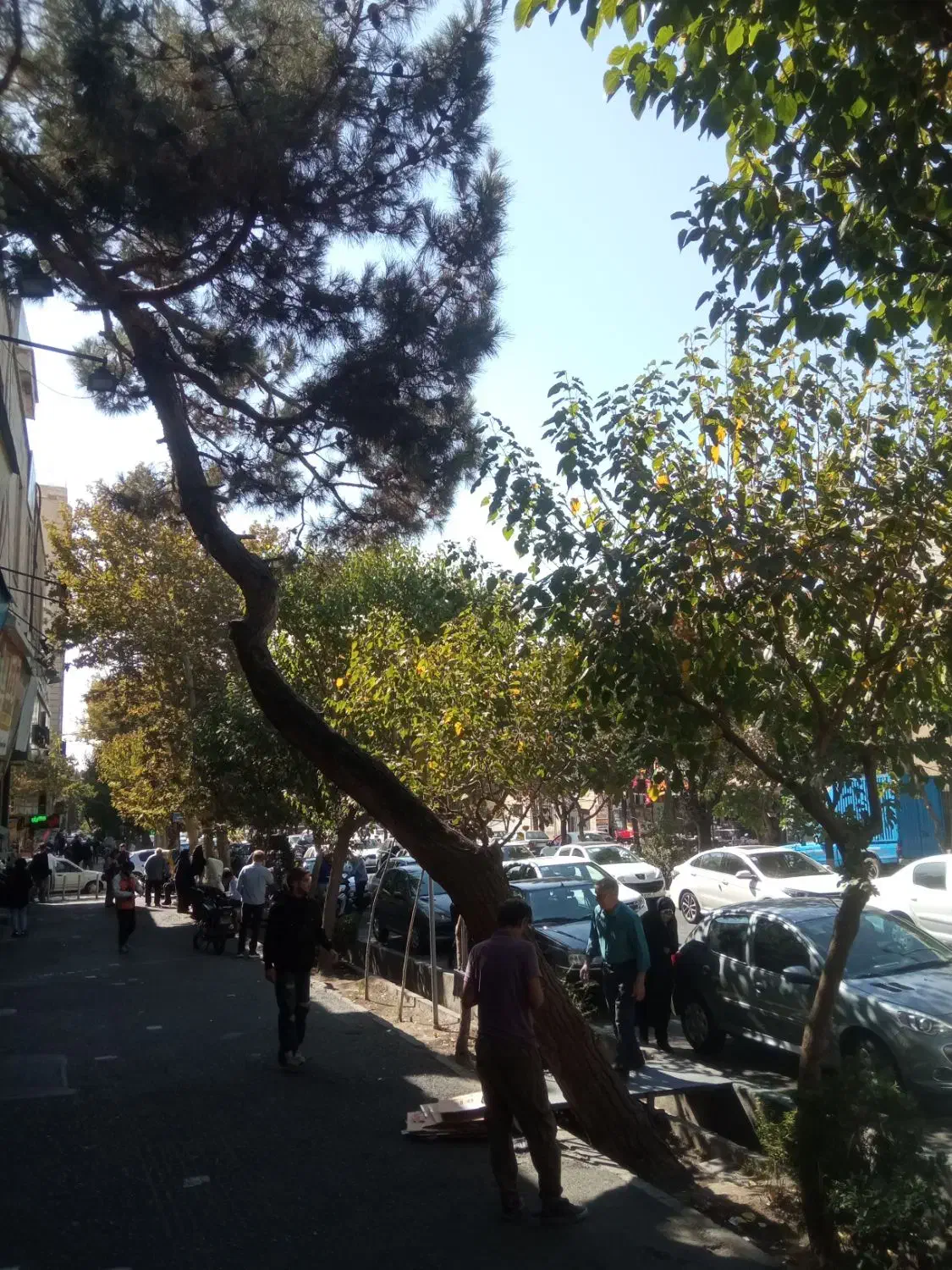 مغازه،بر اصلی،۴۱متر|فروش مغازه و غرفه|تهران, تهرانپارس غربی|دیوار