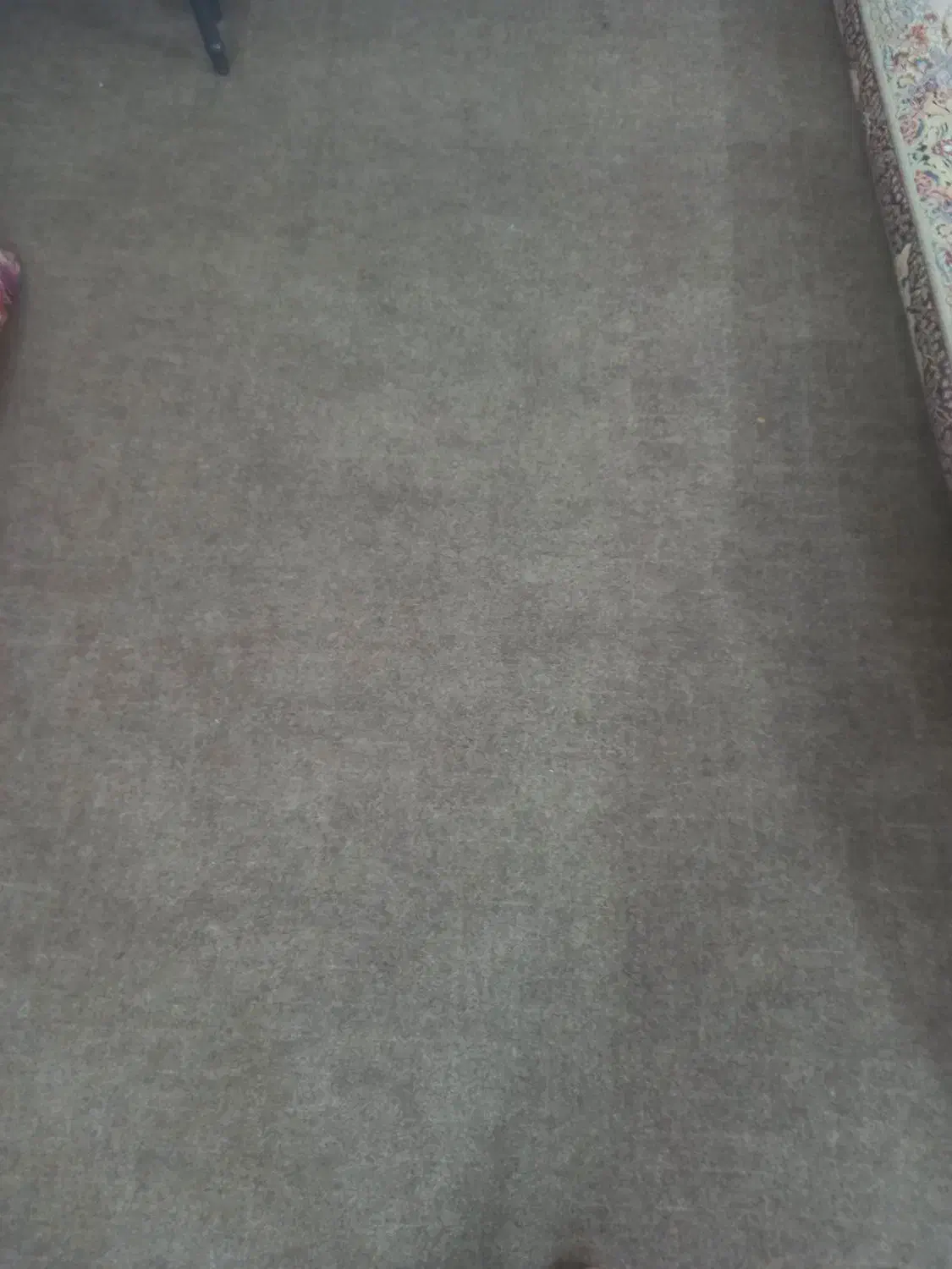 موکت درحدنووسالم|موکت|نظرآباد, نظرآباد|دیوار