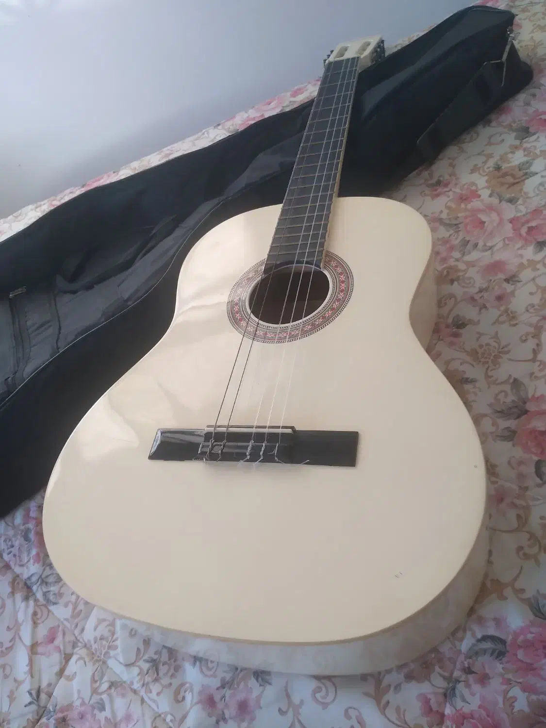 گیتار مکسین رنگ سفیدروغنی|گیتار، بیس، امپلیفایر|طرقبه, |دیوار