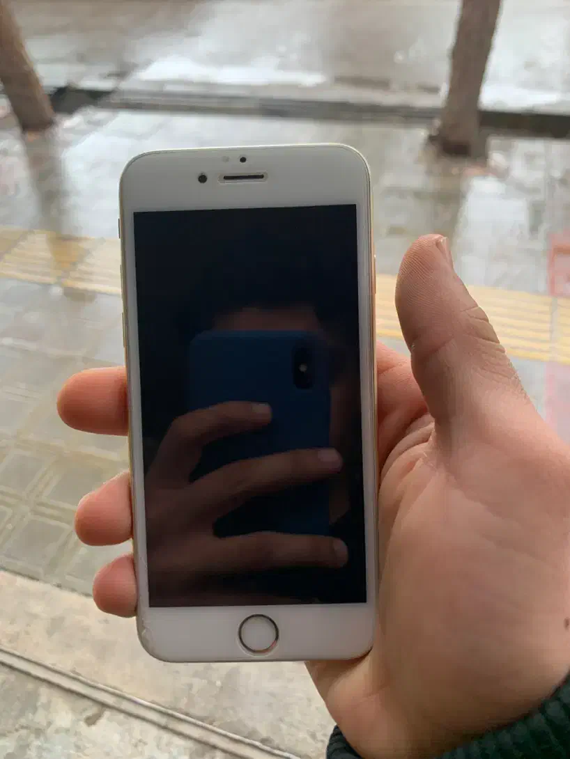 ایفون 6s|موبایل|قائن, |دیوار