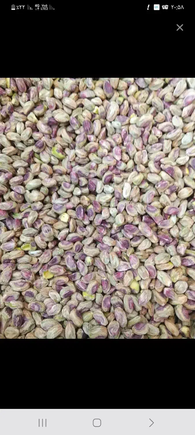 پسته پسته پسته گلدار گوشتی تازه|خوردنی و آشامیدنی|قم, یزدان‌شهر|دیوار