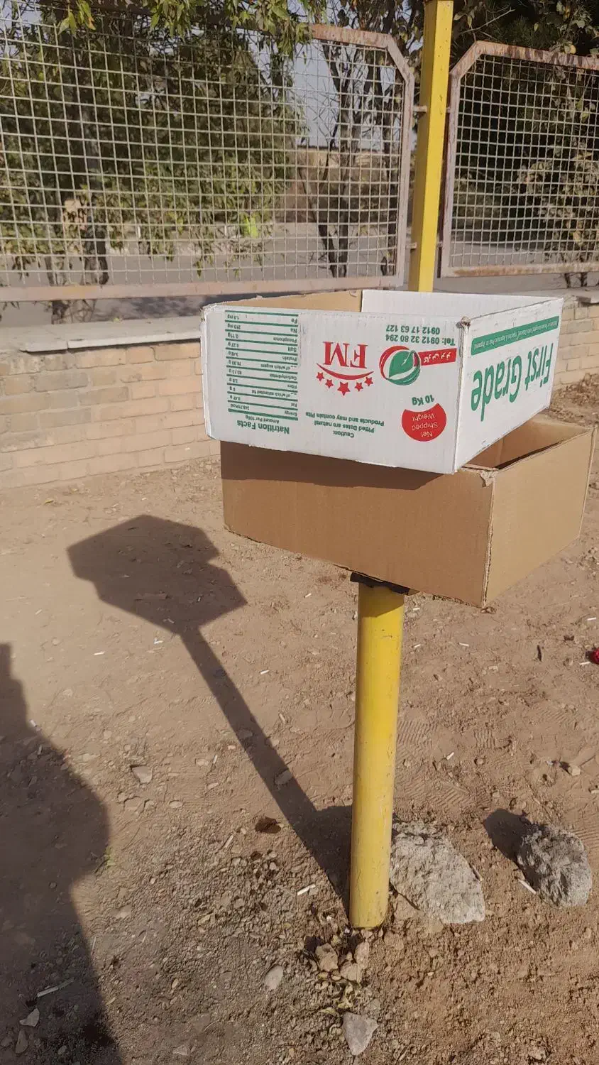 کارتن|عمدهفروشی|تاکستان, |دیوار