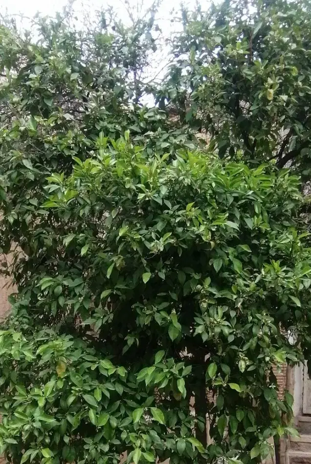 تصویر 3