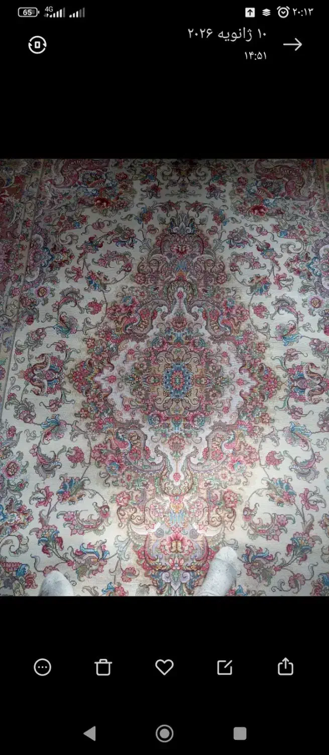 فرش 12متری خطیبی درج35|فرش|اسکو, |دیوار