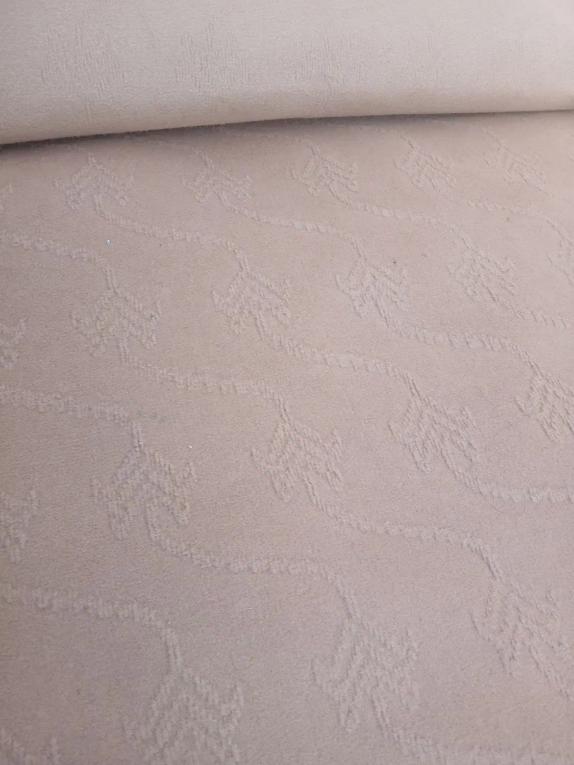 موکت گردویی|موکت|تربت جام, شهید نصرالهی|دیوار