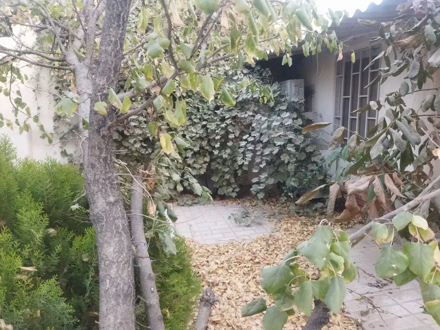 200متر بافت.ویلاسهیلیه زکی آباد کردان زعفرانیه|فروش خانه و ویلا|کرج, فاز ۲ مهرشهر|دیوار