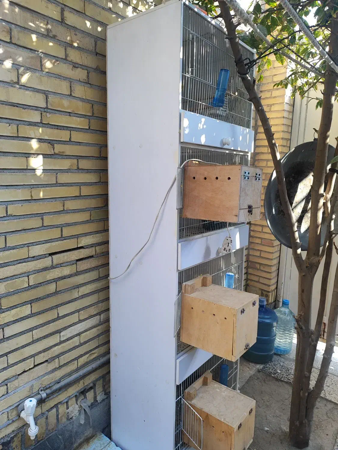 قفس مرغ عشق|لوازم جانبی حیوانات|بندرعباس, |دیوار