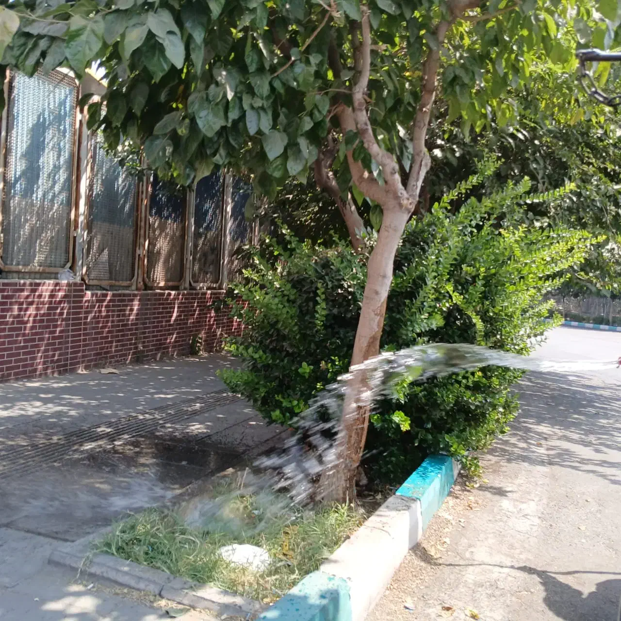 هرس درختان کاشت کودهی واکاری|خدمات باغبانی و درختکاری|تهران, سبلان (لشگر)|دیوار